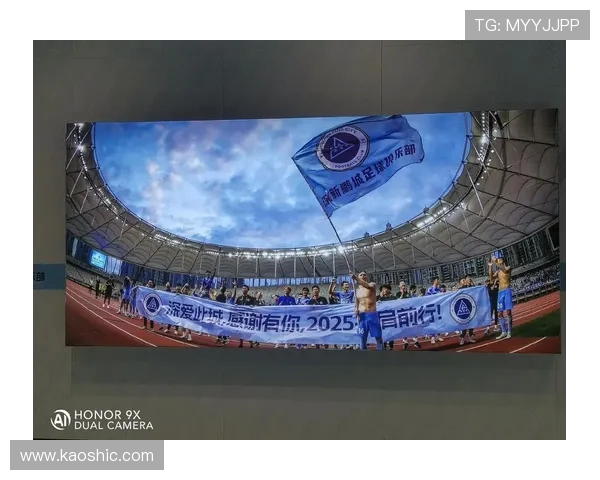 张卫：憾负海港，信念如磐，深圳新鹏城未来可期